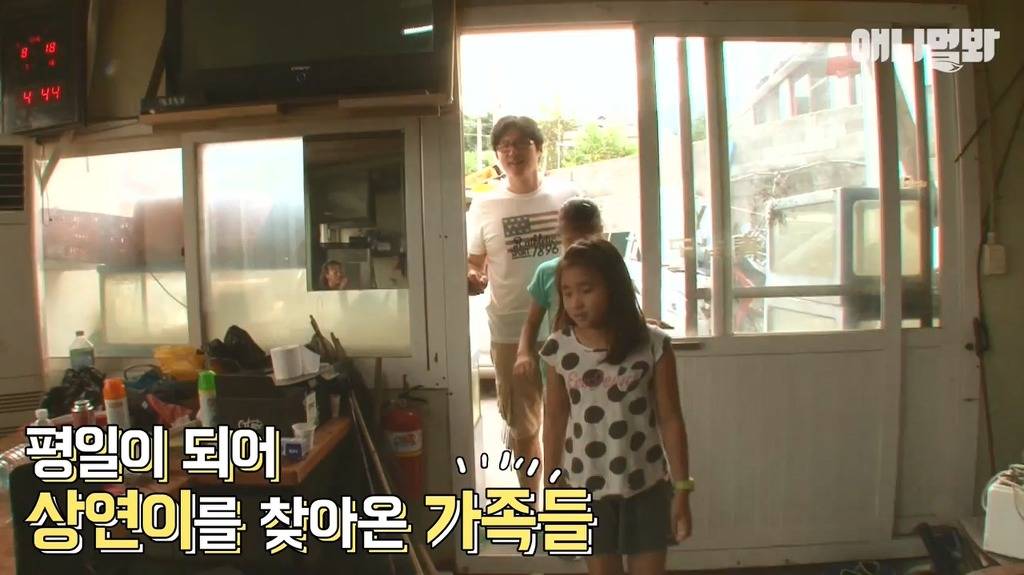 혼자 버스타고 지인 만나러가는 강아지 | 인스티즈