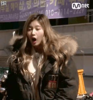 트와이스 사나 특징.gif | 인스티즈