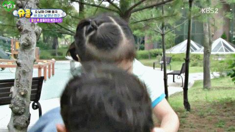 점점 꾸기화 되어가는 설아(Feat. 사방이 적인 대박이) | 인스티즈