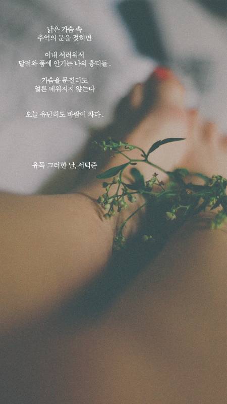 예쁜 시 구절이 적힌 폰배경화면 여덟 번째.jpg | 인스티즈