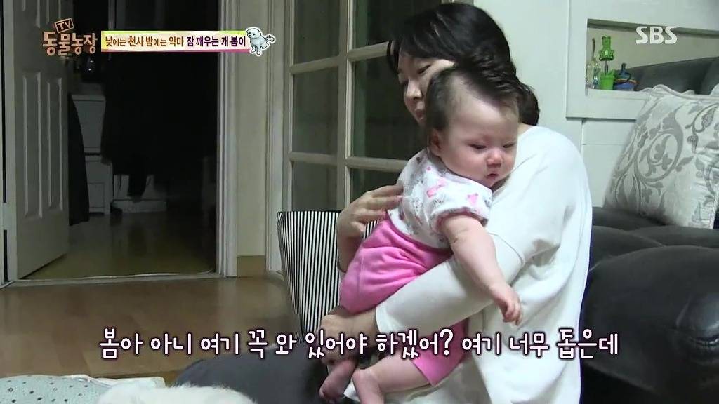 [동물농장] 새식구 들어온 후 우울해진 봄이.jpg | 인스티즈