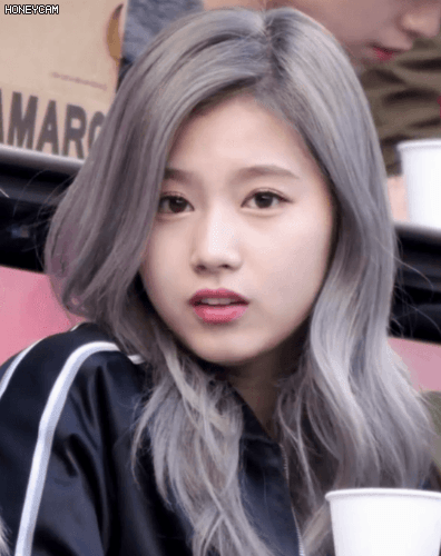 이런거 모으면 잡ㅎ.. ㅂㅌ인가요? | 인스티즈