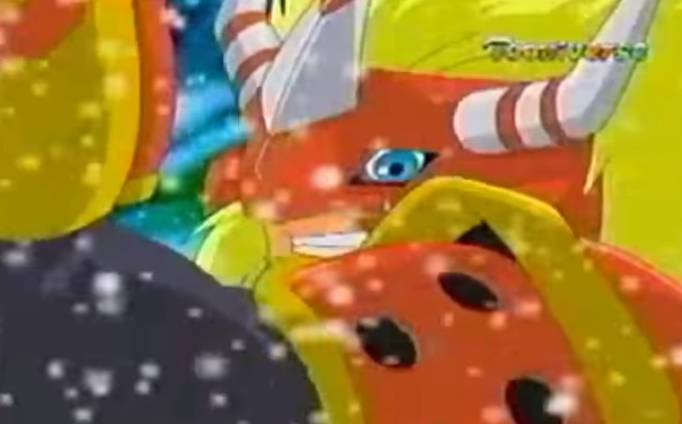 디지몬 세계관 공식 밥 디지몬.jpg | 인스티즈