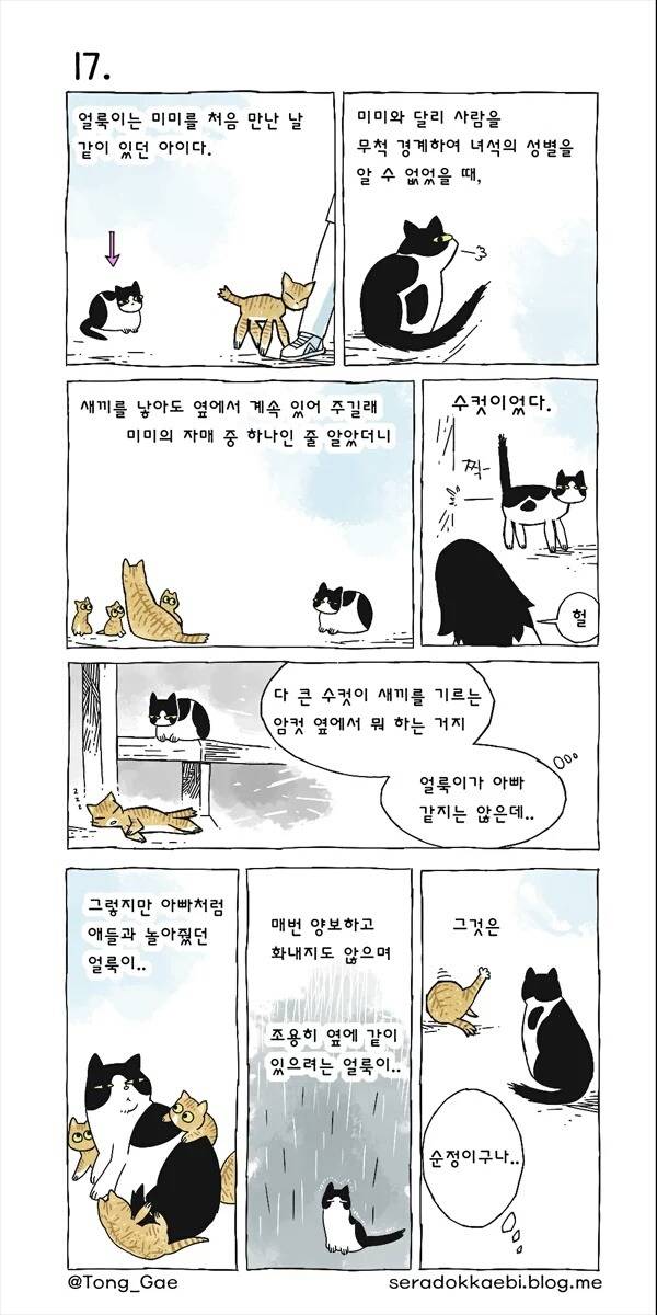 고양이 여덟마리와 사는만화 | 인스티즈