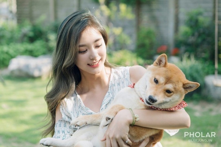 댕댕이닮은 사나 모음 | 인스티즈