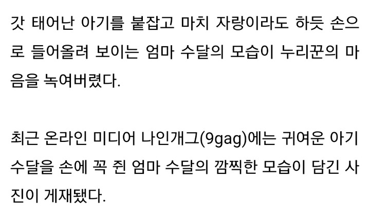 &#34;제가 낳았어요&#34;&#8226;&#8226;&#8226;갓 낳은 새끼 수달 자랑하는 엄마 수달 | 인스티즈