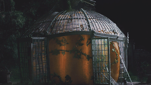 내가 영화 신데렐라에서 제일 좋아하는 장면 ㅠㅠㅠㅠ.gif | 인스티즈