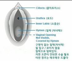 너네 * 쳐녀막 대체어 * 프로젝트 진행된거 혹시 알고 있니?(성에 대해 궁금하고 무지해도 다 들어와라) | 인스티즈