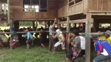 ??: 이사 가즈아ㅏㅏㅏㅏ | 인스티즈