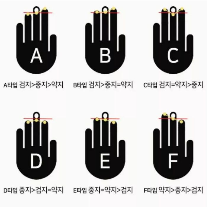 손가락 길이로 보는 뇌유형 테스트 | 인스티즈