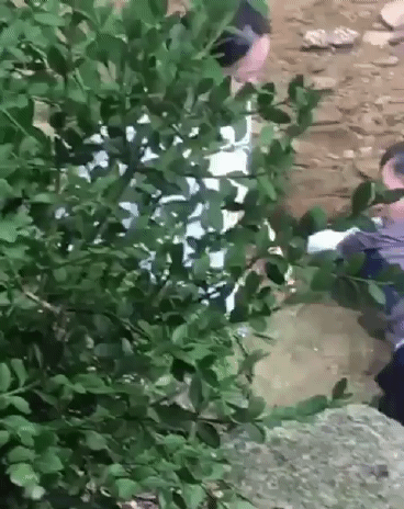 계곡 놀러간 비밀의숲 배우들 단체사진 | 인스티즈