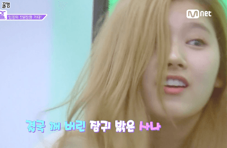 놀라는 사나도 탱. 샤샤샤 | 인스티즈