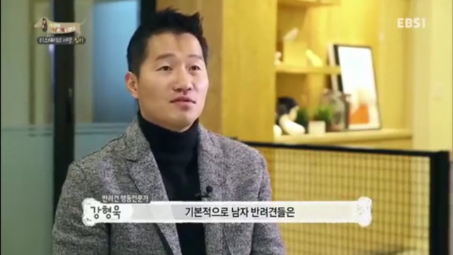 인간에 의해 강제교배당하는 강아지들(부제:강제교배는 강간과 다름없다) | 인스티즈