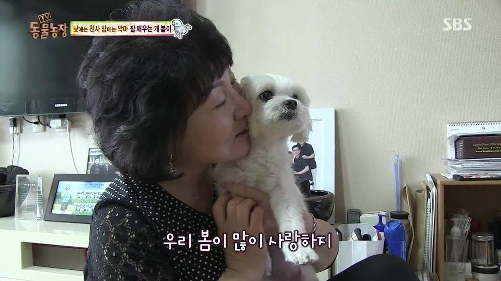 [동물농장] 새식구 들어온 후 우울해진 봄이.jpg | 인스티즈