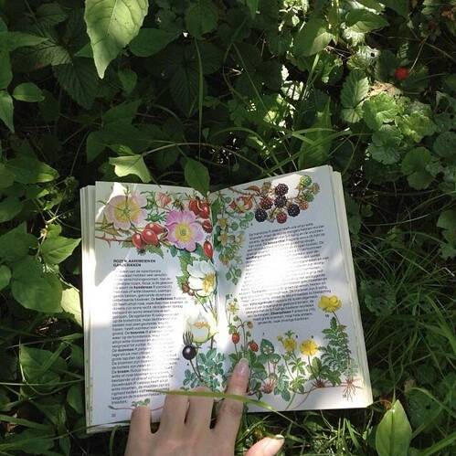 왜 모든 사람이 사랑에 미치지 않는지 이해할 수가 없었다 | 인스티즈