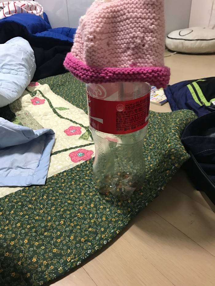 에이핑크 남덕들이 뜨개질을 한 이유 (210개의 털모자) | 인스티즈