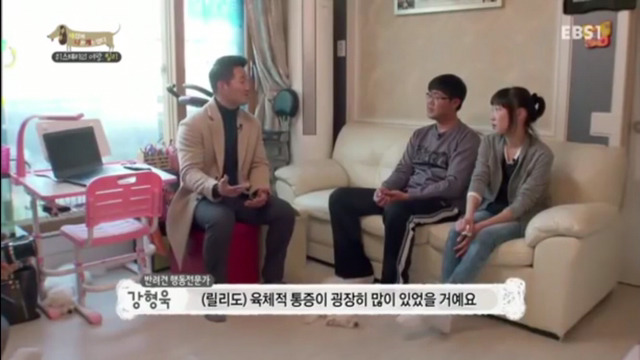 인간에 의해 강제교배당하는 강아지들(부제:강제교배는 강간과 다름없다) | 인스티즈