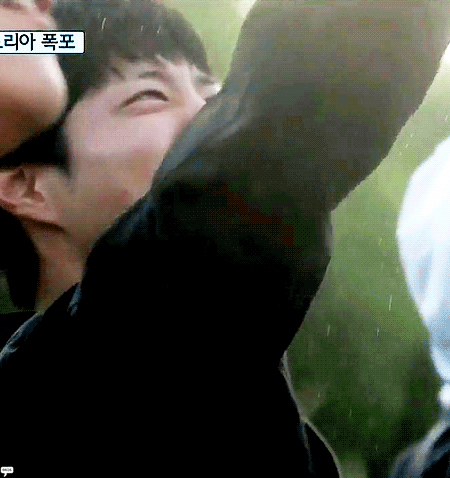 꽃보다 청춘에서 박보검이 하는 일 | 인스티즈