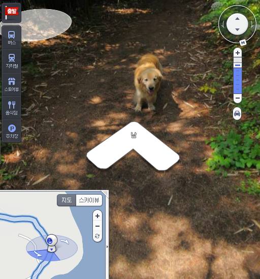 거리뷰에 찍힌 사진들 | 인스티즈