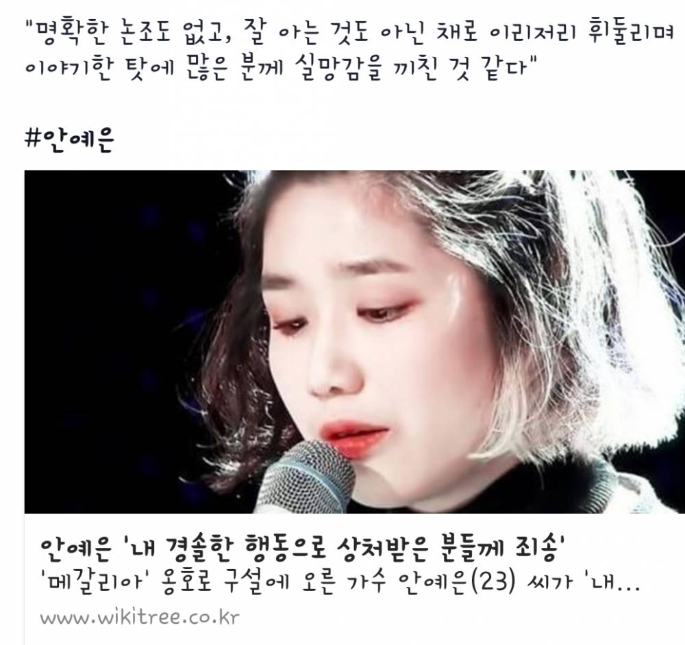 메밍아웃 안예은 사과문 | 인스티즈