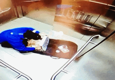 주문한 피자에서 햄맛이 느껴지지 않은 이유 | 인스티즈