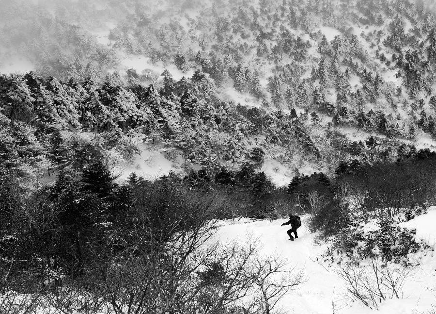 참 아름다운 많은 꿈이 있는 이땅에 태어나서 행복한 내가 아니니 | 인스티즈