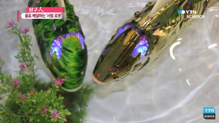 외국인들이 한국에서 경험하는 한국의 로봇문화.jpgif | 인스티즈