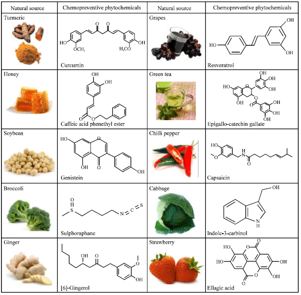 강력한 항암효과가 있는 대표적인 식물 10가지 | 인스티즈