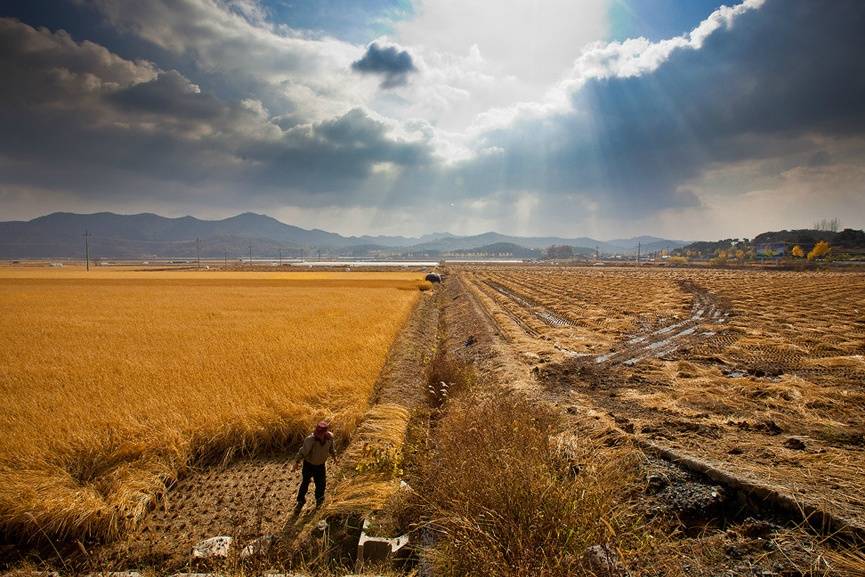 참 아름다운 많은 꿈이 있는 이땅에 태어나서 행복한 내가 아니니 | 인스티즈