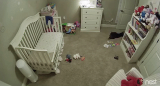 주인님이 아기방에 들어가지 말라고 했다.gif | 인스티즈