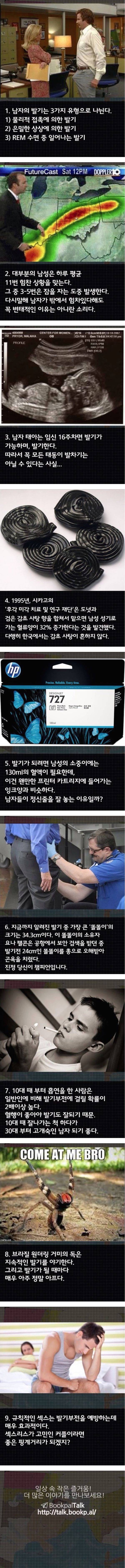 몰라도 상관없는 남자 발기에 대한 사실 9가지 | 인스티즈