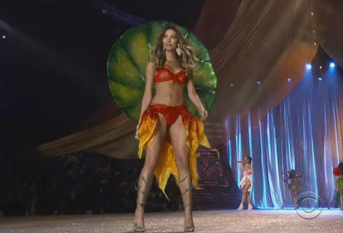 빅토리아 시크릿에서 가장 밀어주는 금수저 출신 모델 (15) | 인스티즈