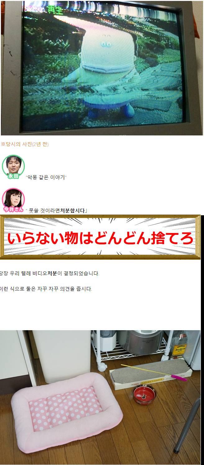 데이터/스압) 집이 살풍경해서 인테리어 코디네이터에게 도움받았다 | 인스티즈