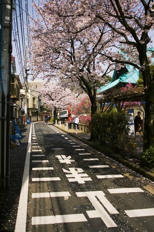 일본여행 가고 싶어지는 일본 사진 | 인스티즈