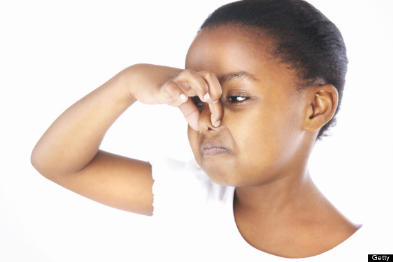 애완동물 키우면 안되는 사람들 | 인스티즈