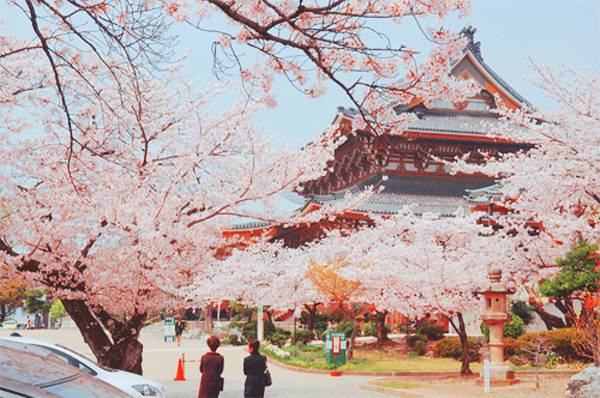 일본여행 가고 싶어지는 일본 사진 | 인스티즈