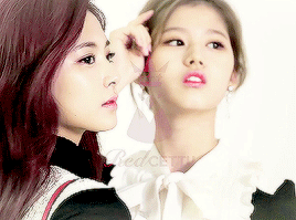 트와이스 사나 쯔위 피지컬 차이.gif | 인스티즈