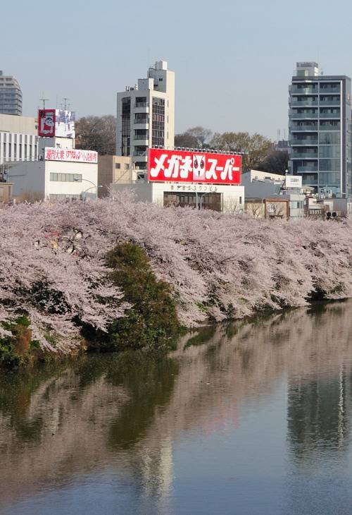 일본여행 가고 싶어지는 일본 사진 | 인스티즈