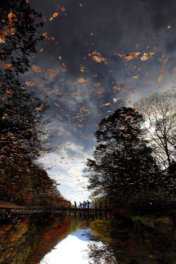 참 아름다운 많은 꿈이 있는 이땅에 태어나서 행복한 내가 아니니 | 인스티즈