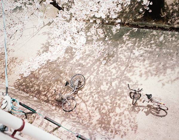 일본여행 가고 싶어지는 일본 사진 | 인스티즈