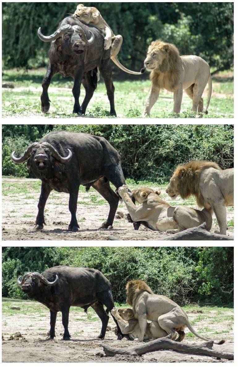 요리하는 아내의 섹시한 뒷태에 그만... | 인스티즈