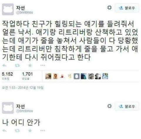 강아지의 위로 | 인스티즈