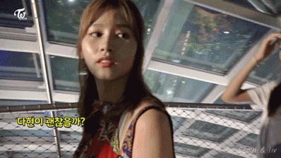높은곳 올라간 트와이스 멤버들 반응 gif | 인스티즈