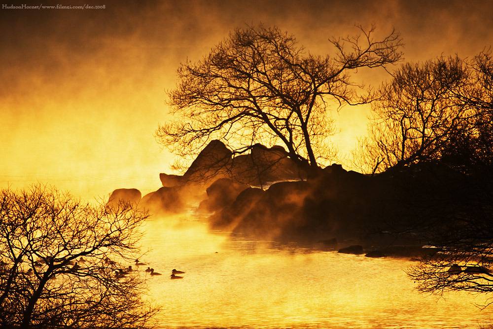 참 아름다운 많은 꿈이 있는 이땅에 태어나서 행복한 내가 아니니 | 인스티즈