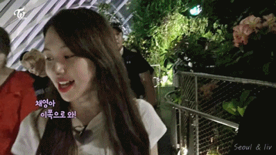 높은곳 올라간 트와이스 멤버들 반응 gif | 인스티즈