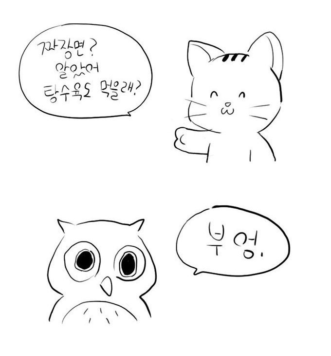 부엉이랑 중국집에 갔다.jpg | 인스티즈