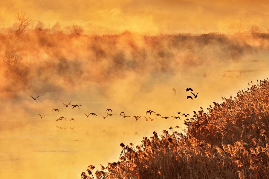 참 아름다운 많은 꿈이 있는 이땅에 태어나서 행복한 내가 아니니 | 인스티즈