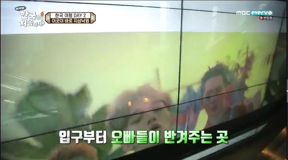 어서와 한국은 처음이지? 에서 케이팝에 별 관심 없다는 러시아 소녀.jpg | 인스티즈