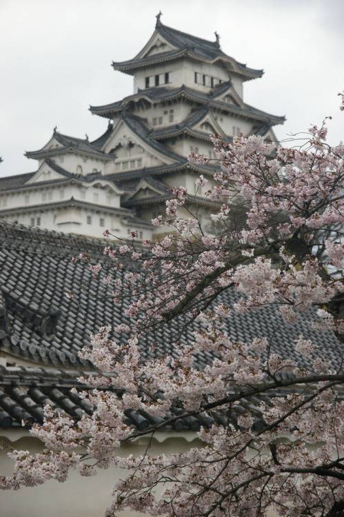 일본여행 가고 싶어지는 일본 사진 | 인스티즈