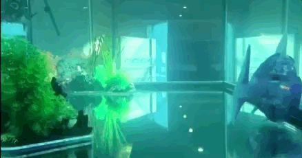 외국인들이 한국에서 경험하는 한국의 로봇문화.jpgif | 인스티즈